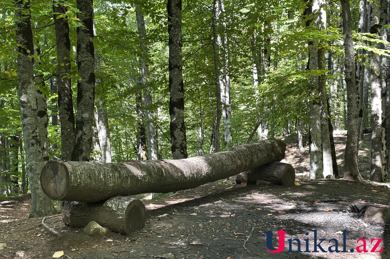 Adı "qara", özü cənnət - FOTOLAR